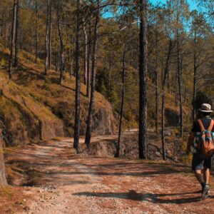 hiking